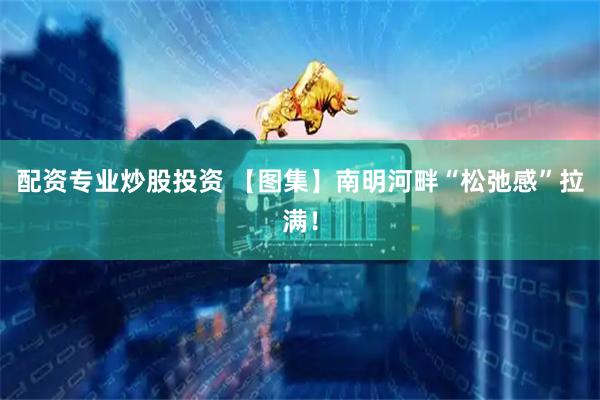 配资专业炒股投资 【图集】南明河畔“松弛感”拉满！
